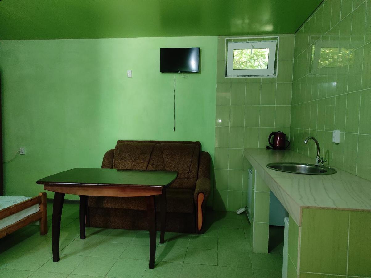Гостевой Дом Ирина Hotel Soechoemi Buitenkant foto
